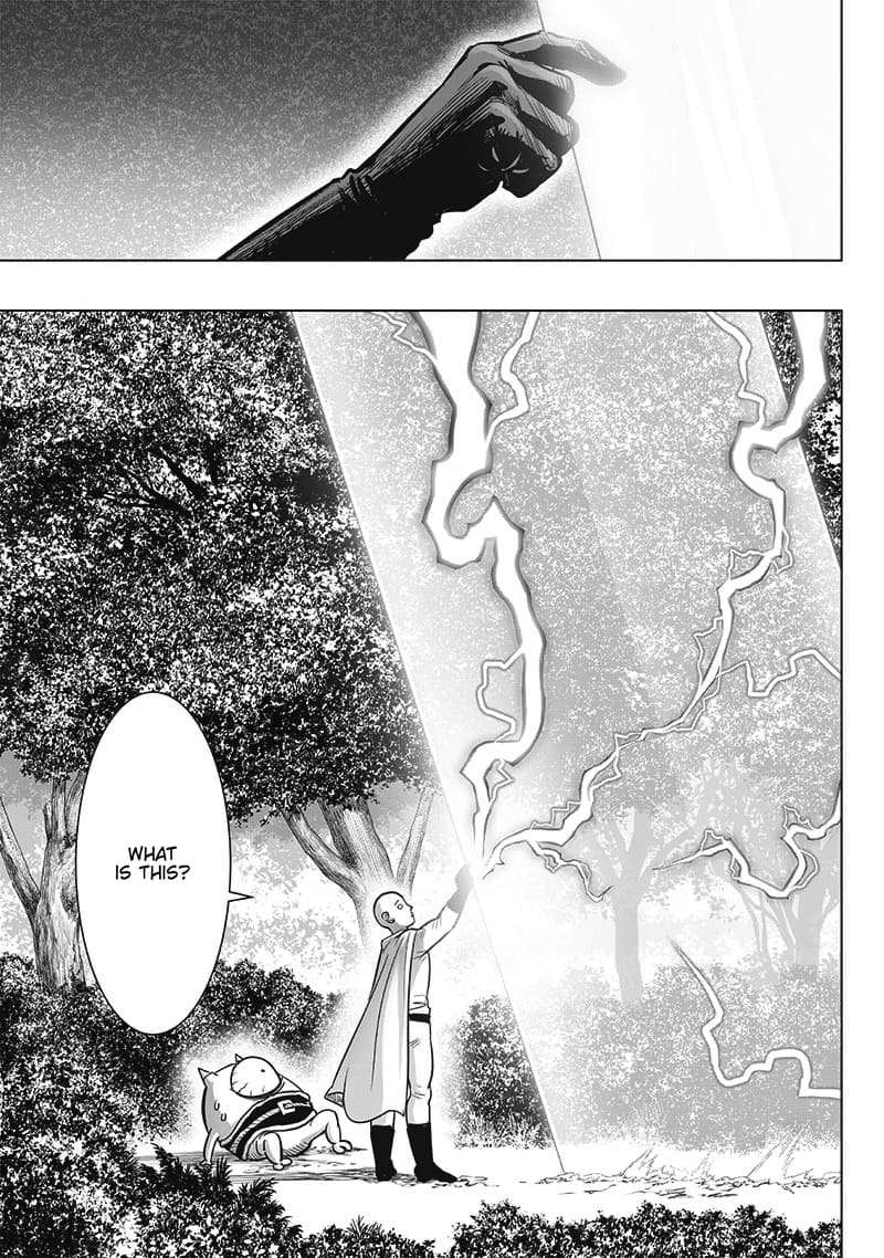 One Punch Man - Chapter 209 image 09